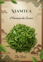 L'élixir du Magicien